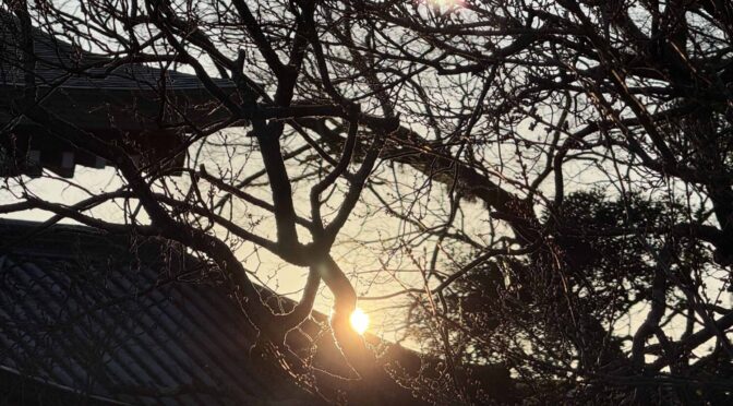 導き給え‐2283‐