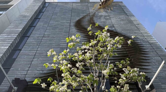 未来に漕ぎ出す‐2316‐