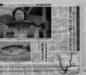 下北山村の古民家