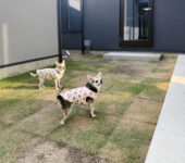 ホテルライクな家