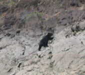 下北山村の古民家