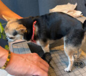 ホテルライクな家