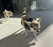 ホテルライクな家